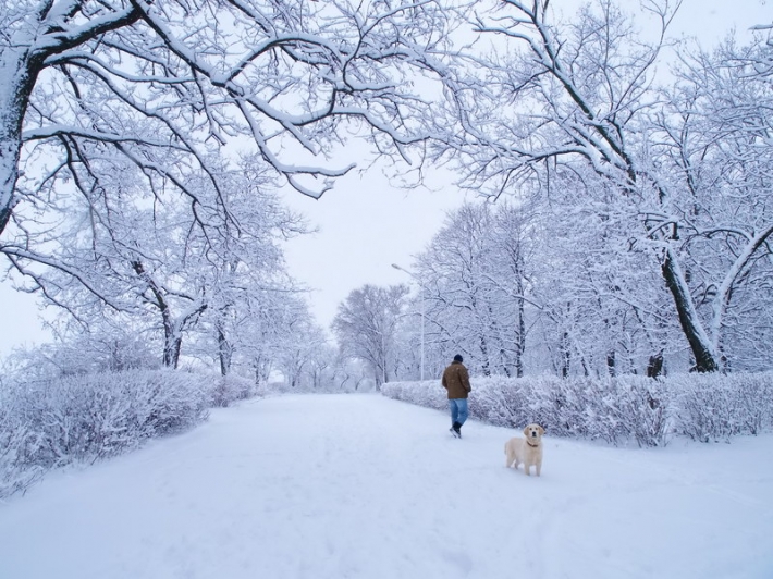 Прогулка по снегу